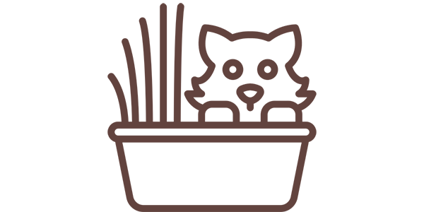 tcb-services-cat-b